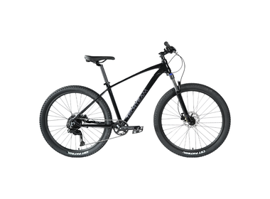 Велосипед Tech Team Lavina 29"х19" чёрный 2024