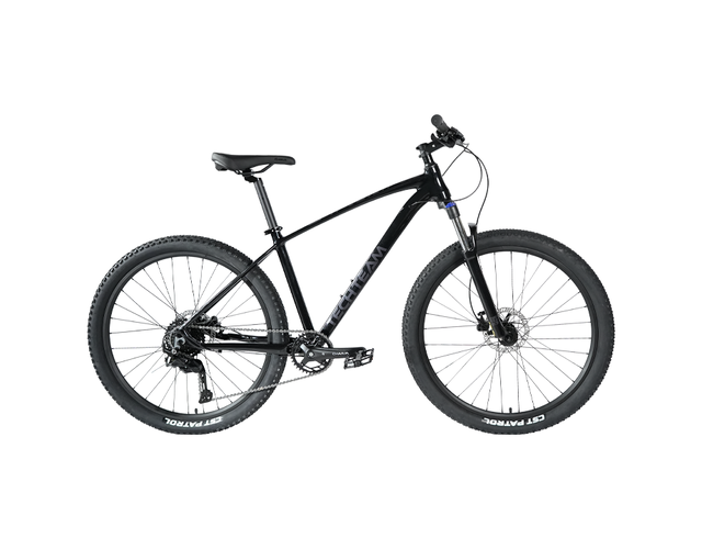 Велосипед Tech Team Lavina 29"х19" чёрный 2024